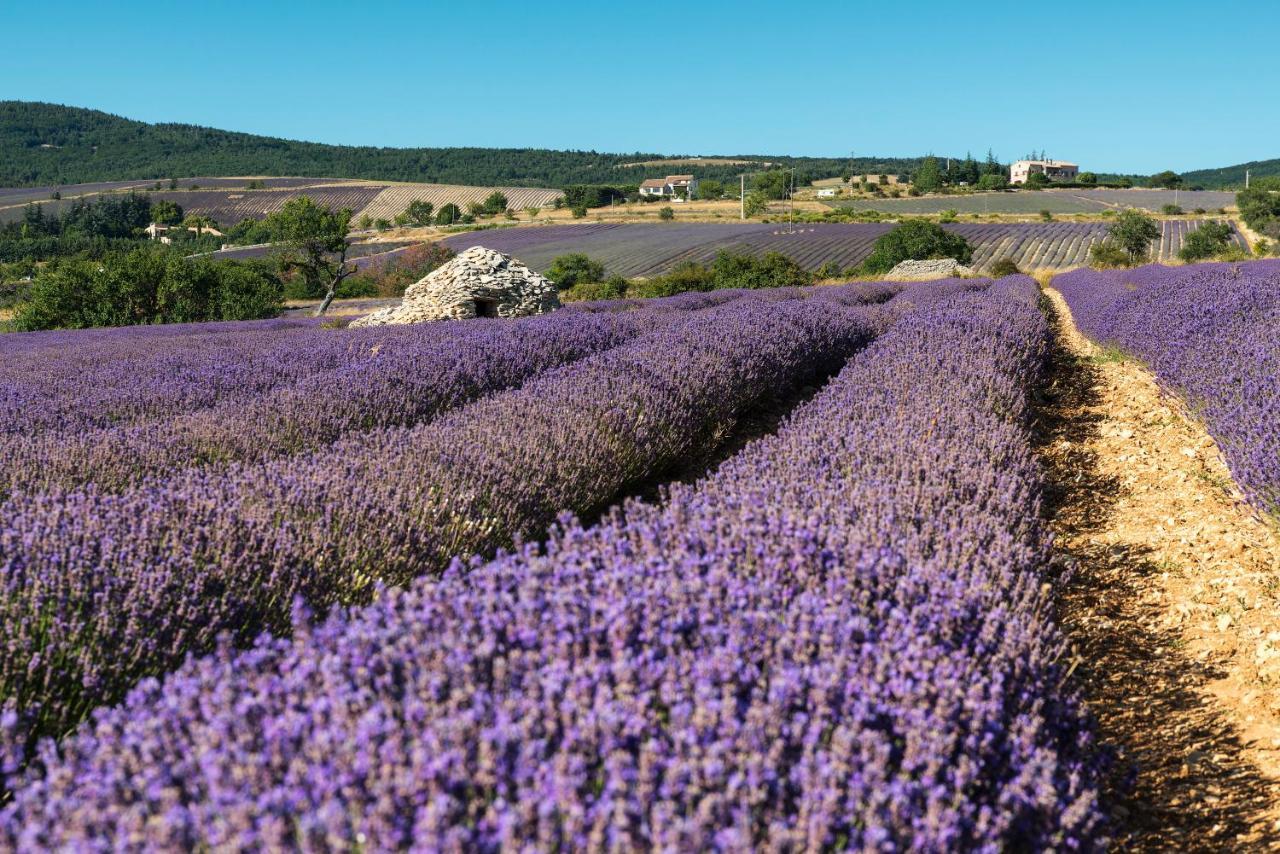 Serre Des Ormes - Cycling, Walking & Running Retreat Salerans Exterior foto